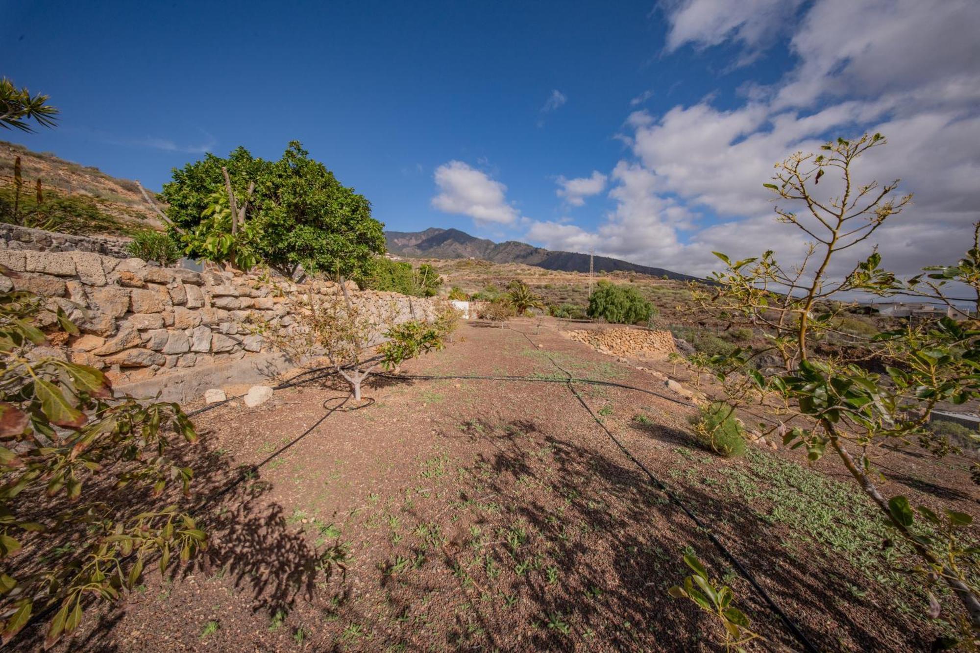 Casa Rural Buda Terra Santa Cruz de Tenerife Buitenkant foto